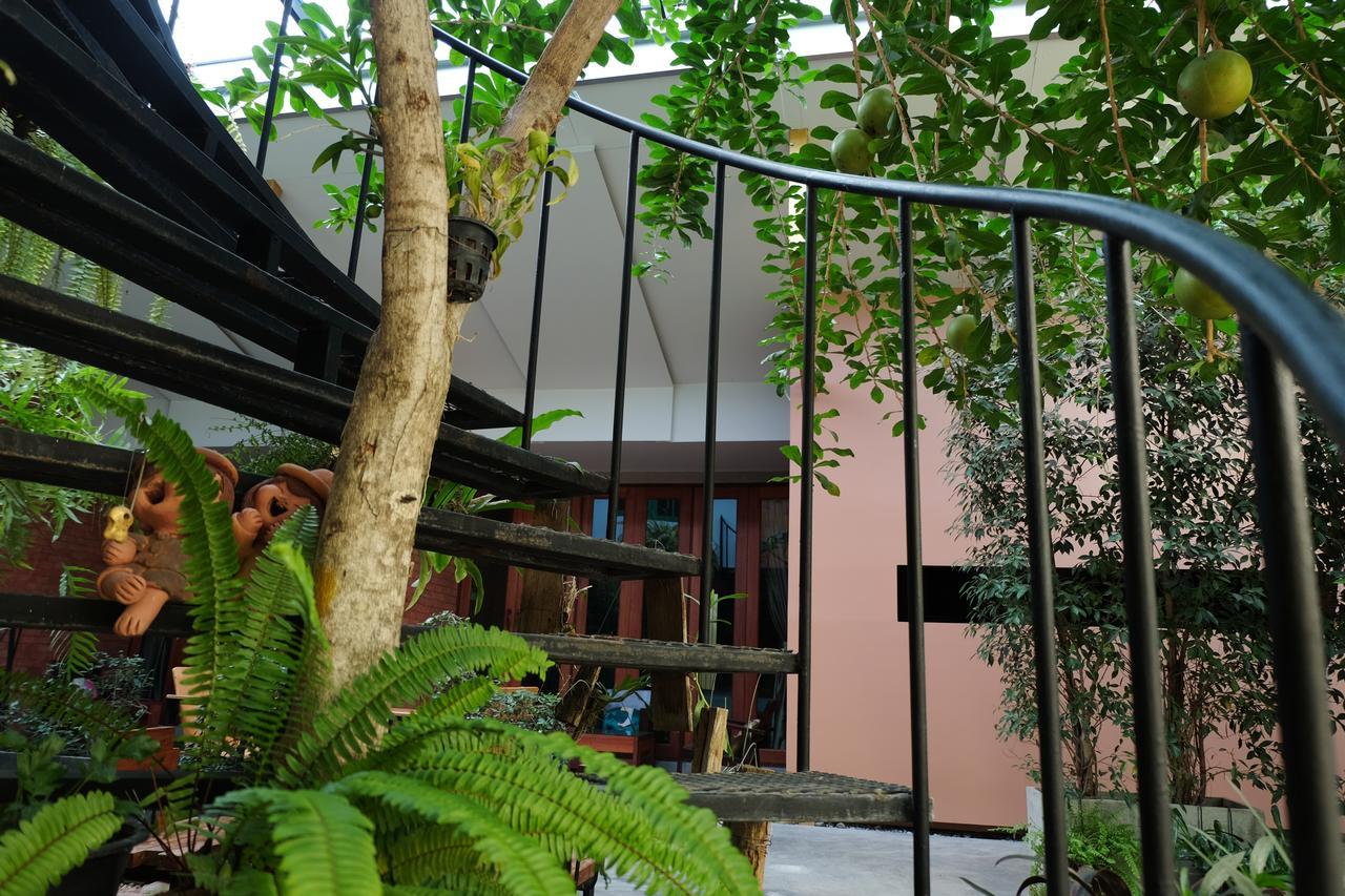 清邁 白象旅馆酒店 外观 照片